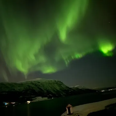 Дом отдыха Malangen Arctic Sealodge 10 *