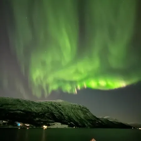 Malangen Arctic Sealodge 10 *