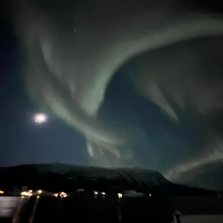 Malangen Arctic Sealodge 10 Mestervik