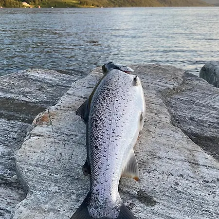 Malangen Arctic Sealodge 10 Дом отдыха