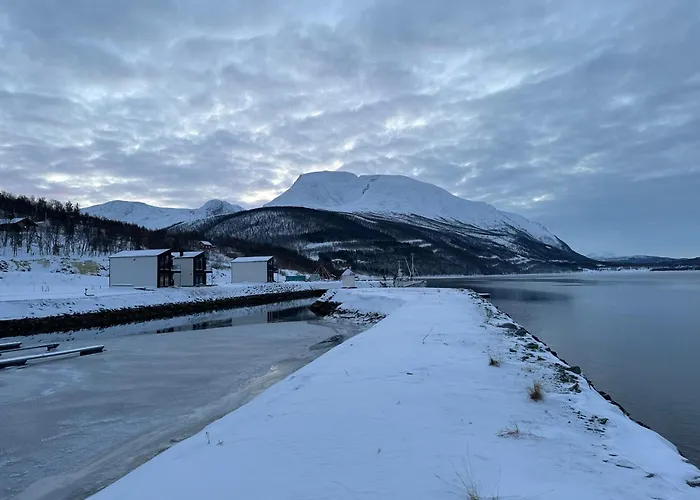 Malangen Arctic Sealodge 10 *