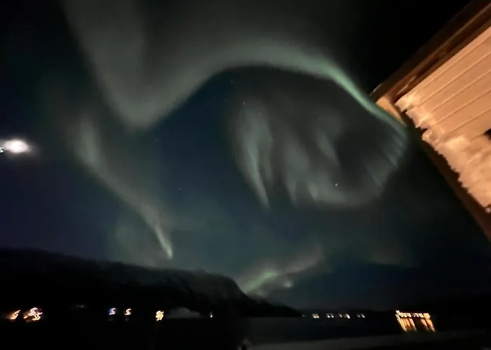 Tatil Evi Malangen Arctic Sealodge 10