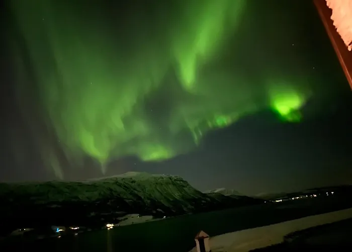 Tatil Evi Malangen Arctic Sealodge 10 *