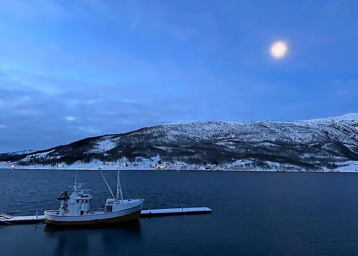 Malangen Arctic Sealodge 10 Tatil Evi Mestervik