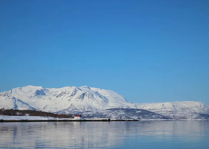 Malangen Arctic Sealodge 10 * Mestervik