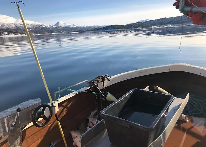 Malangen Arctic Sealodge 10 *