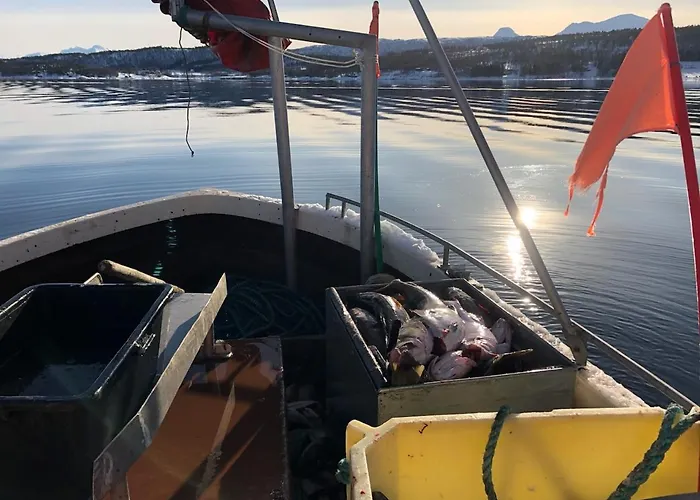 Malangen Arctic Sealodge 10 Tatil Evi *