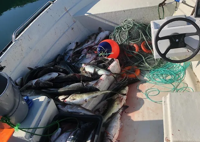 Casa de Férias Malangen Arctic Sealodge 10