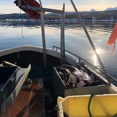 Malangen Arctic Sealodge 10 Nyaraló *